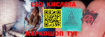шишки Можайск