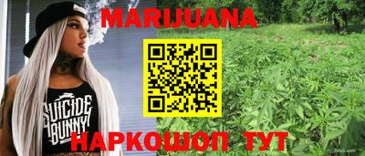 шишки Можайск