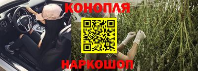 шишки Можайск